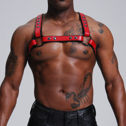 Standard H Harness — view 5