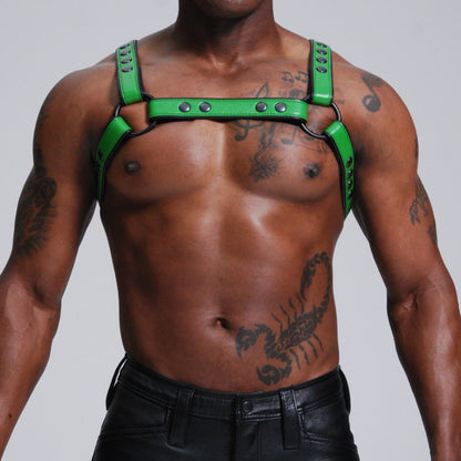Standard H Harness — view 2