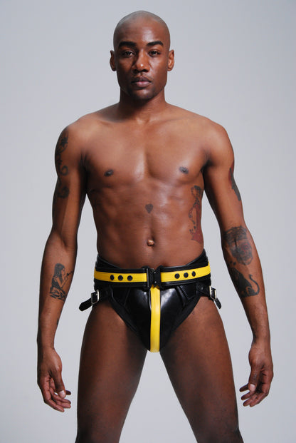 FM Power Harness — view 2
