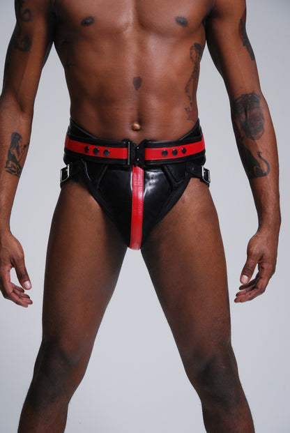 FM Power Harness — view 6