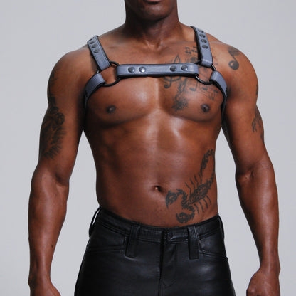 Standard H Harness — view 3