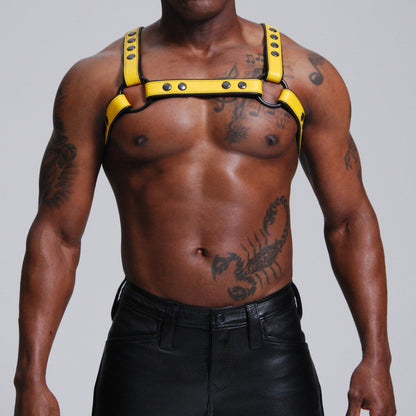 Standard H Harness — view 7