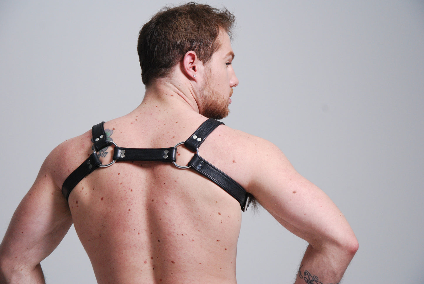 Bulldog Harness Black W/ Cockring