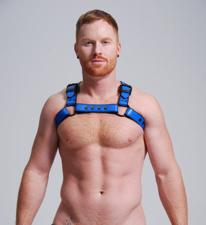 Bulldog Harness W/ Leash Option — view 3