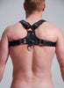 Bulldog Harness W/ Leash Option