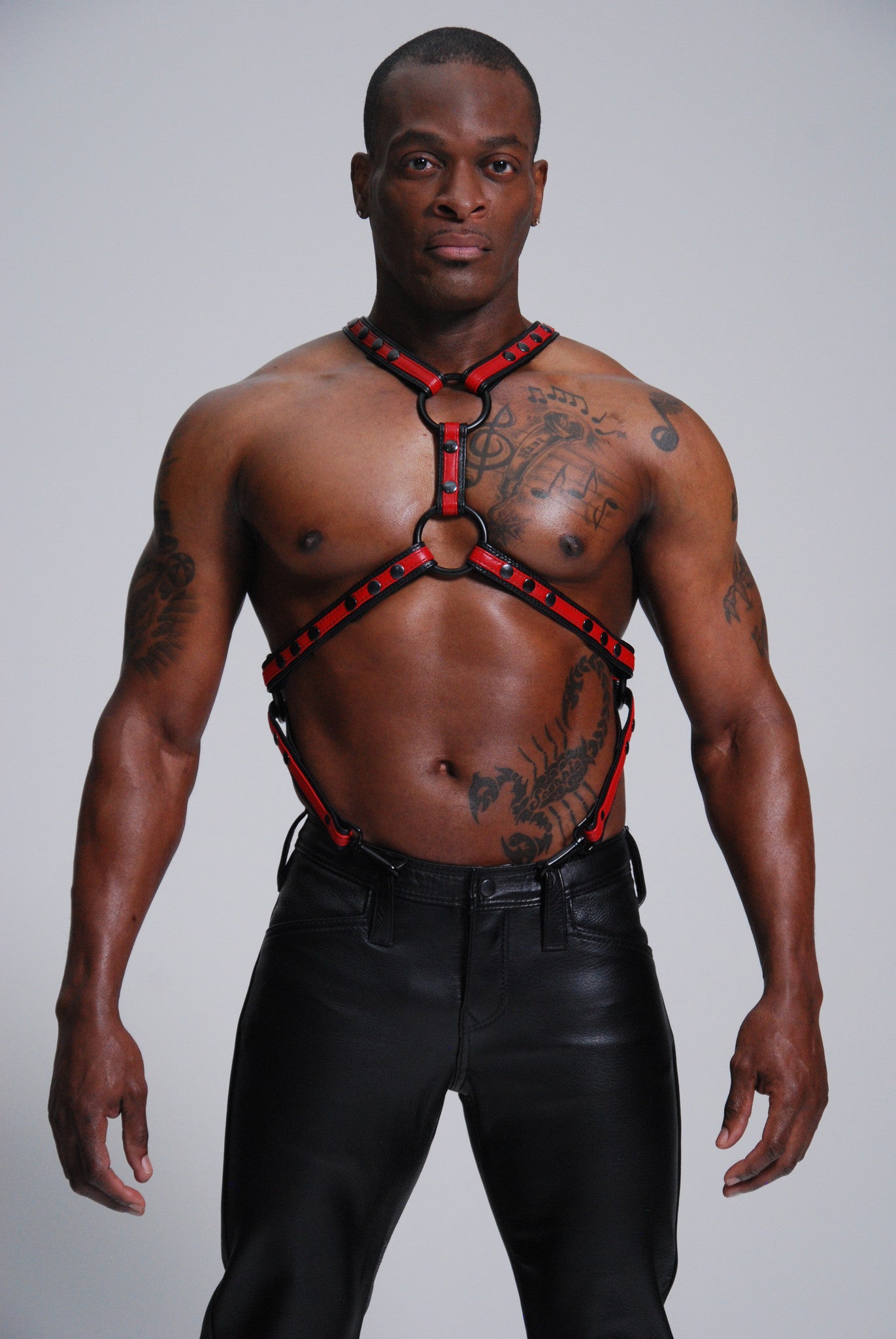 Y Harness with Suspender Straps