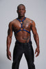 Y Harness with Suspender Straps