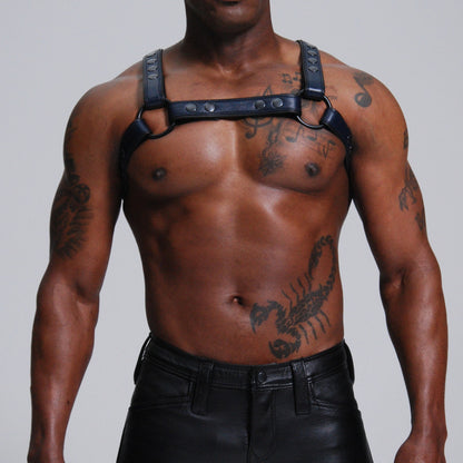 Standard H Harness — view 4