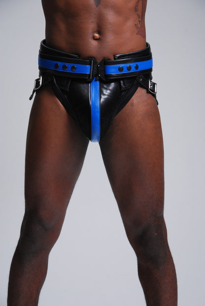 FM Power Harness — view 4