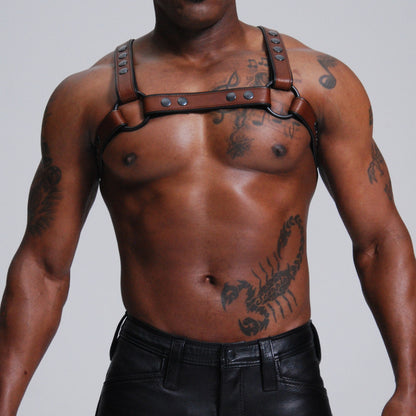 Standard H Harness — view 8