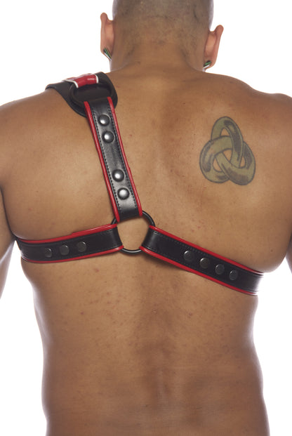 Spartan Sport Shoulder Harness — view 5