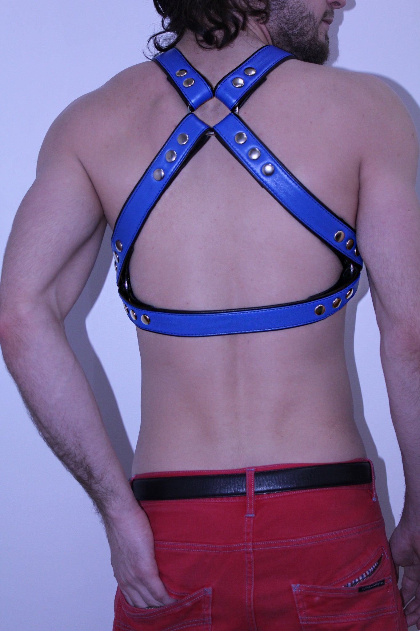 Duncan Black's Hookie's Harness