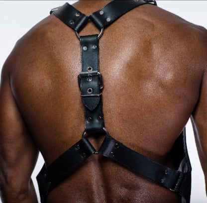 Vest Harness — view 2